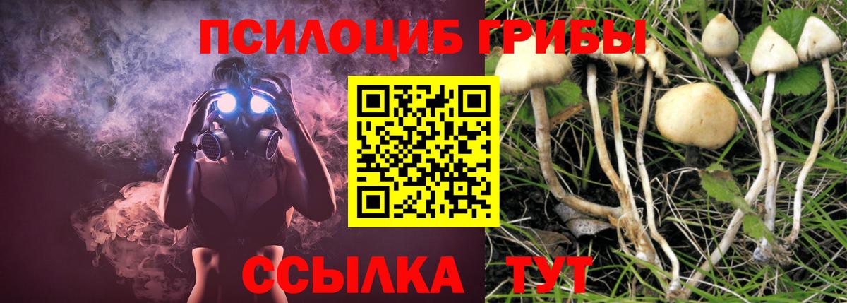 Балашов  купить наркотики сайты  Вход с VPN  Галлюциногенные грибы мухоморы 